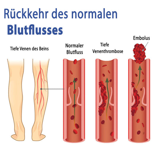 EMS Bioelektrische Akupunktur-Massagematte